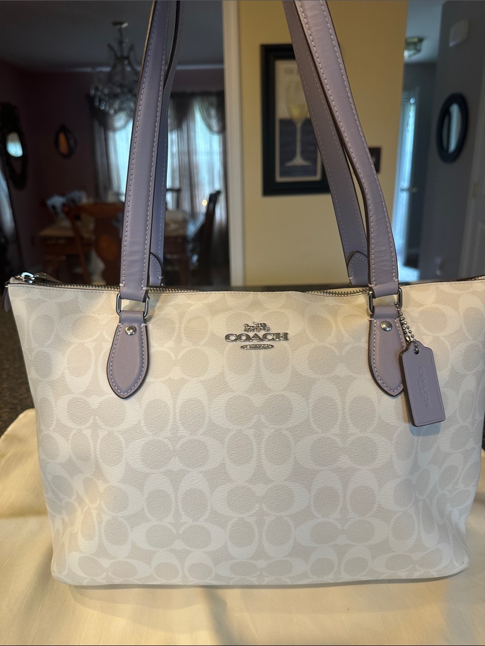 COACH Signature Tote in silver/chalk/mist (LavenderTrim) CH504